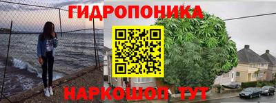 дживик Гусев